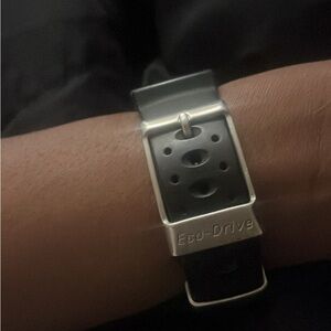 Citizen Eco-Drive Silver and Black Smartwatch